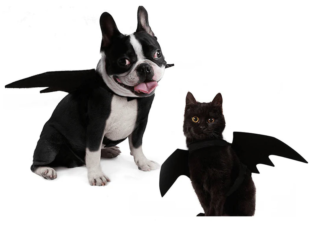 Shadow Wings Dog Costume